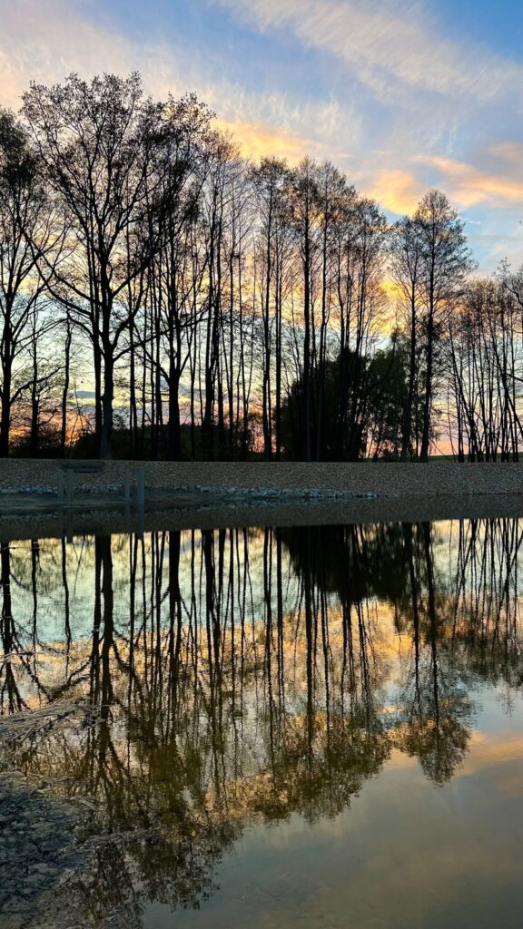Beautiful Sunset