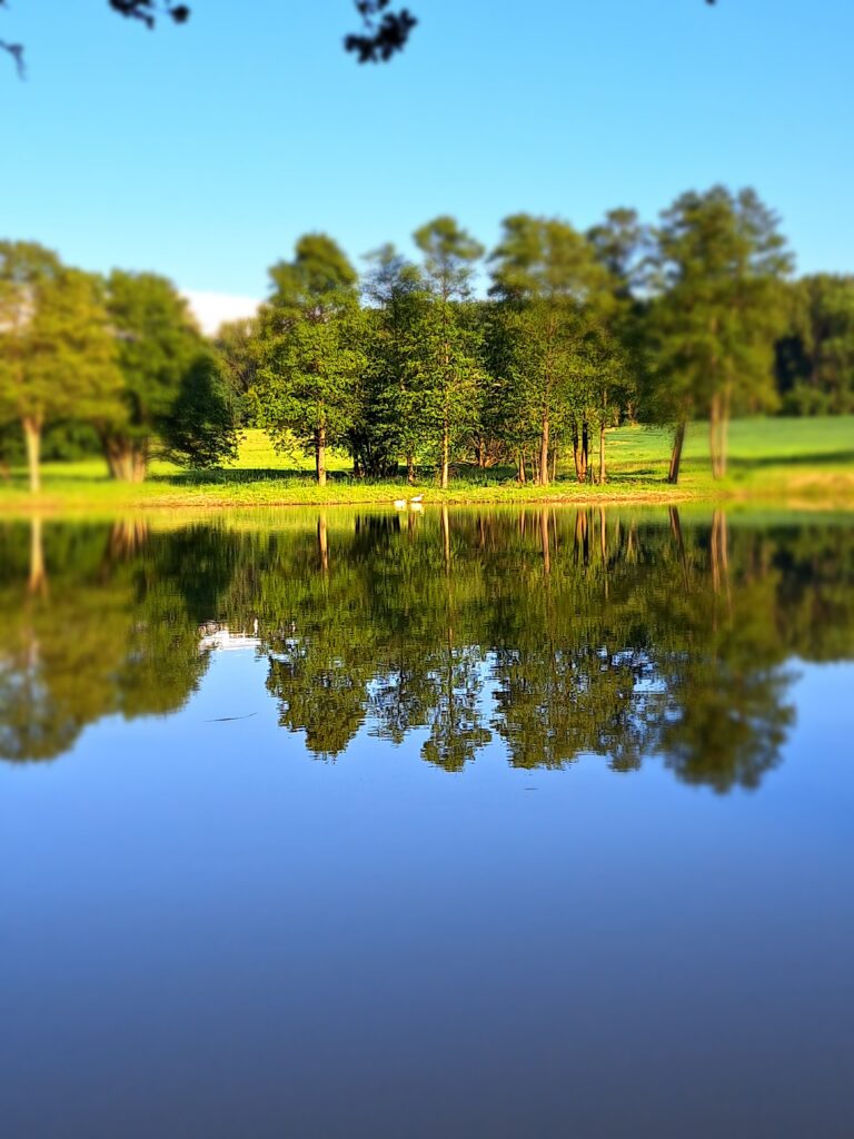 Three threes and a pond